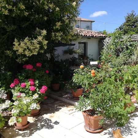 B&B Le Ortensie Castagnole Екстериор снимка