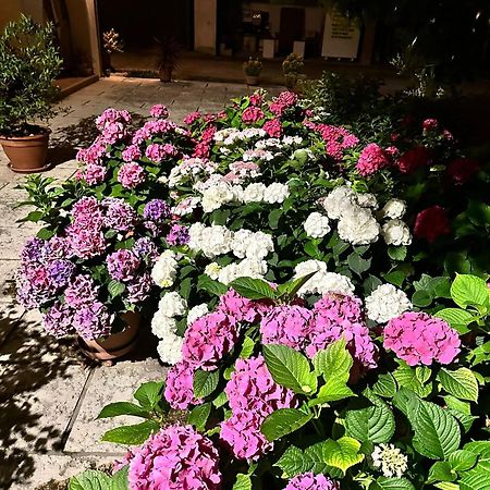 B&B Le Ortensie Castagnole Екстериор снимка