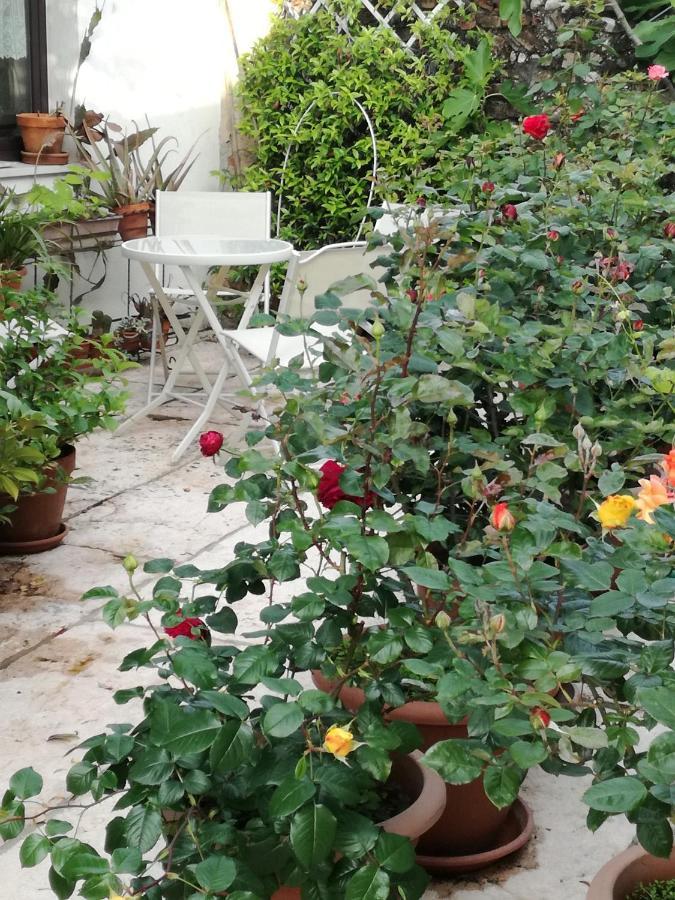 B&B Le Ortensie Castagnole Екстериор снимка