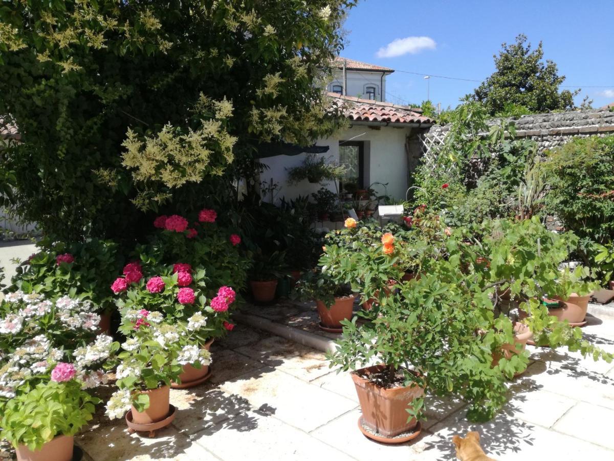 B&B Le Ortensie Castagnole Екстериор снимка