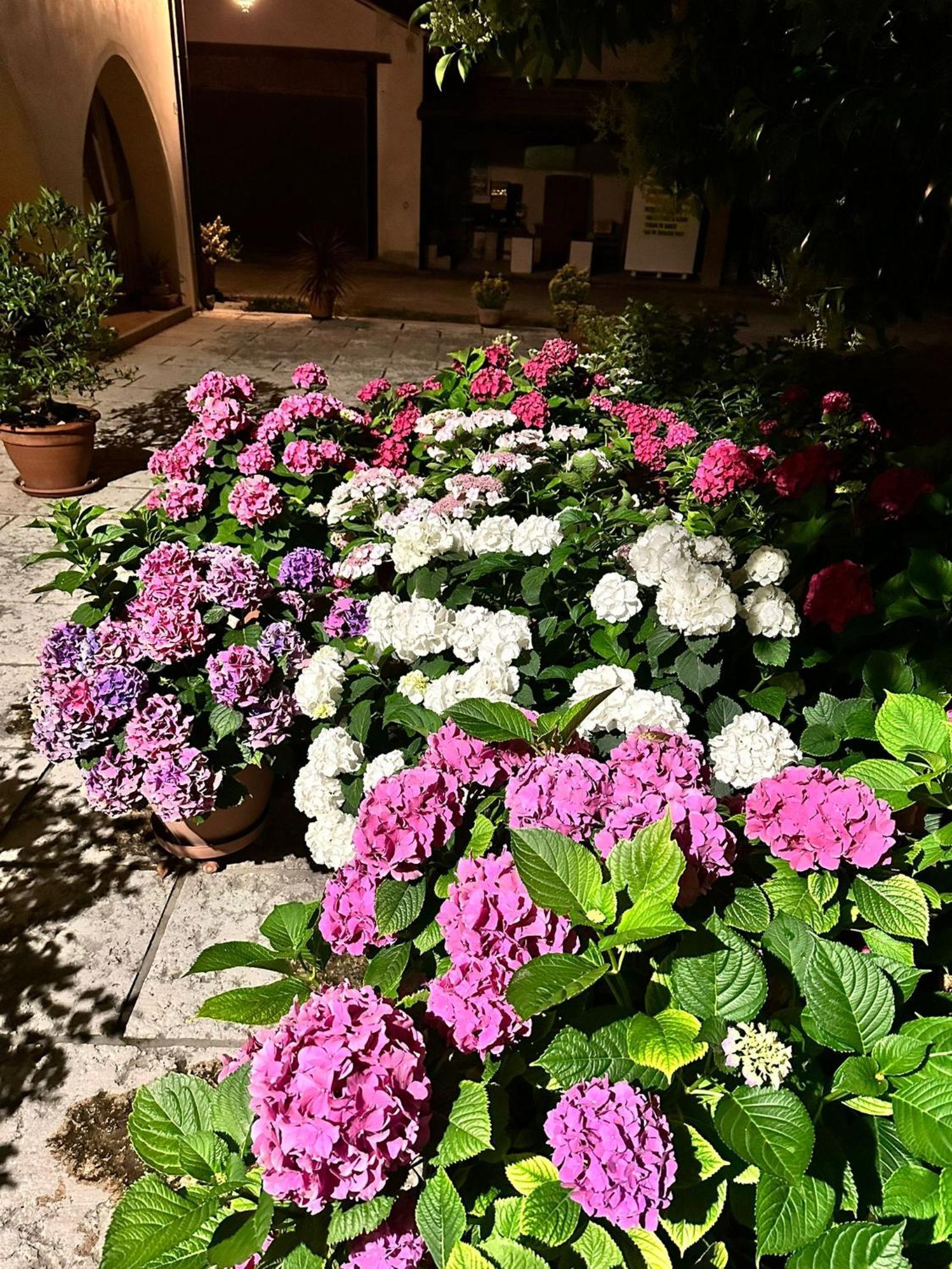 B&B Le Ortensie Castagnole Екстериор снимка